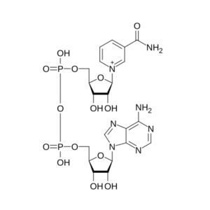 Compounding and Infusion Guide - NAD