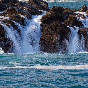 TruWellness Community Membership